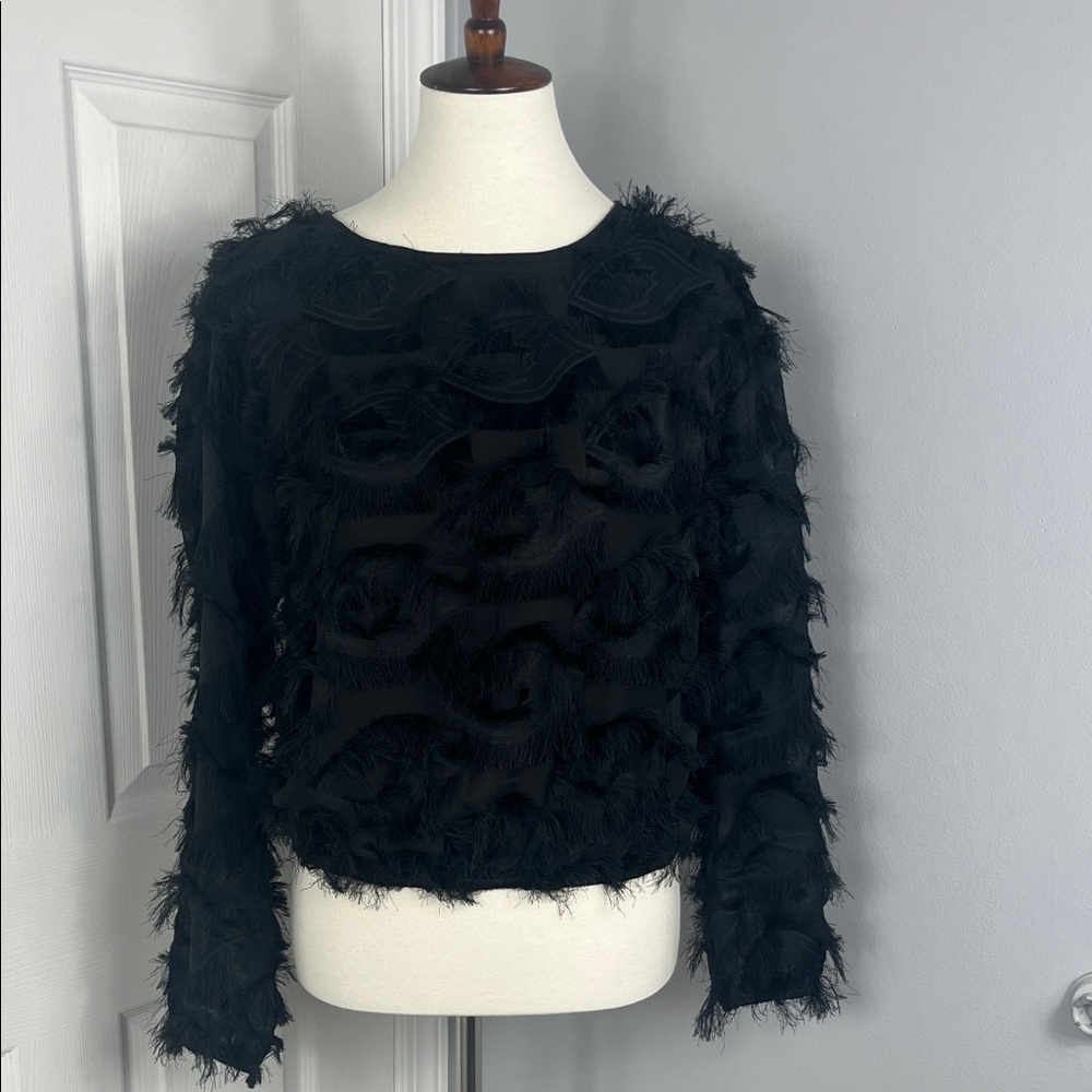 Miss Kelly 1999 Semi-Sheer Black Long Sleeve Eyelash Top | Whimsigoth Top